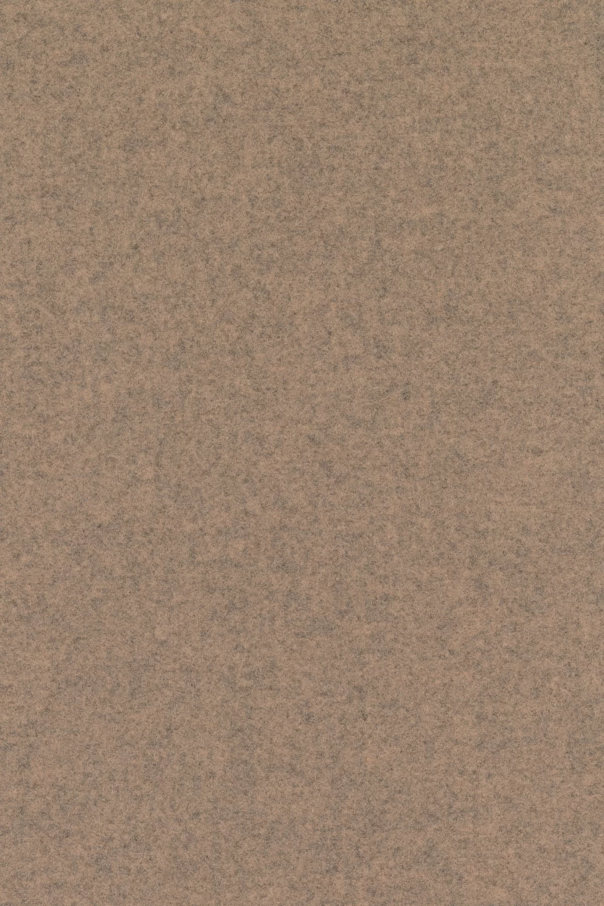 Divina melange 3, 517